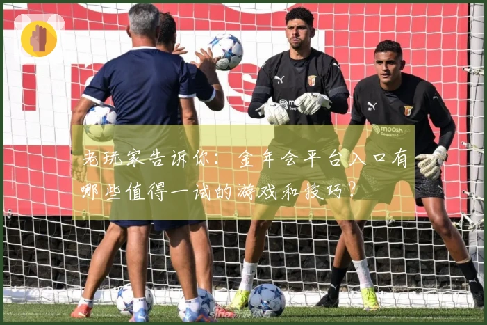 老玩家告诉你：金年会平台入口有哪些值得一试的游戏和技巧？