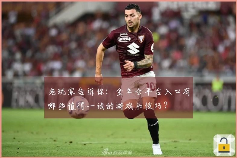 老玩家告诉你：金年会平台入口有哪些值得一试的游戏和技巧？