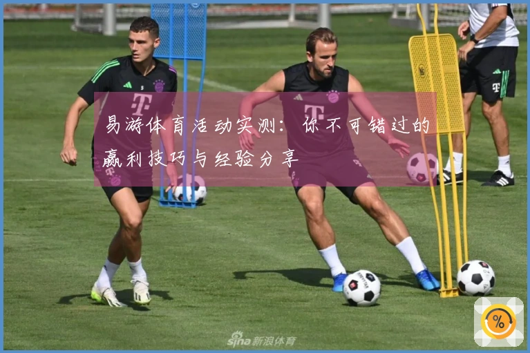 易游体育活动实测：你不可错过的赢利技巧与经验分享